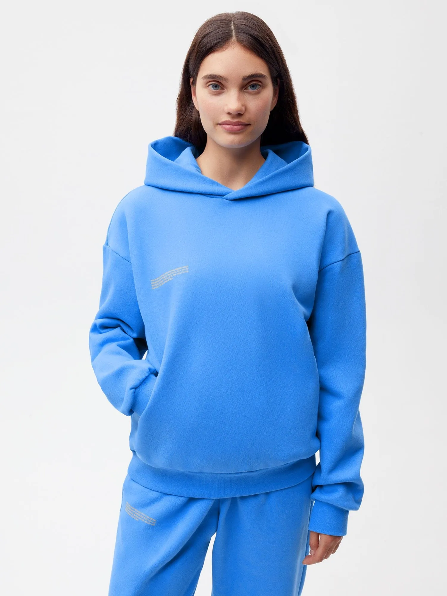 Archive In Conversion Cotton Hoodie—water blue