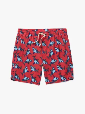 Fair Harbor Youth Kids Anchor Red Confetti Shark
