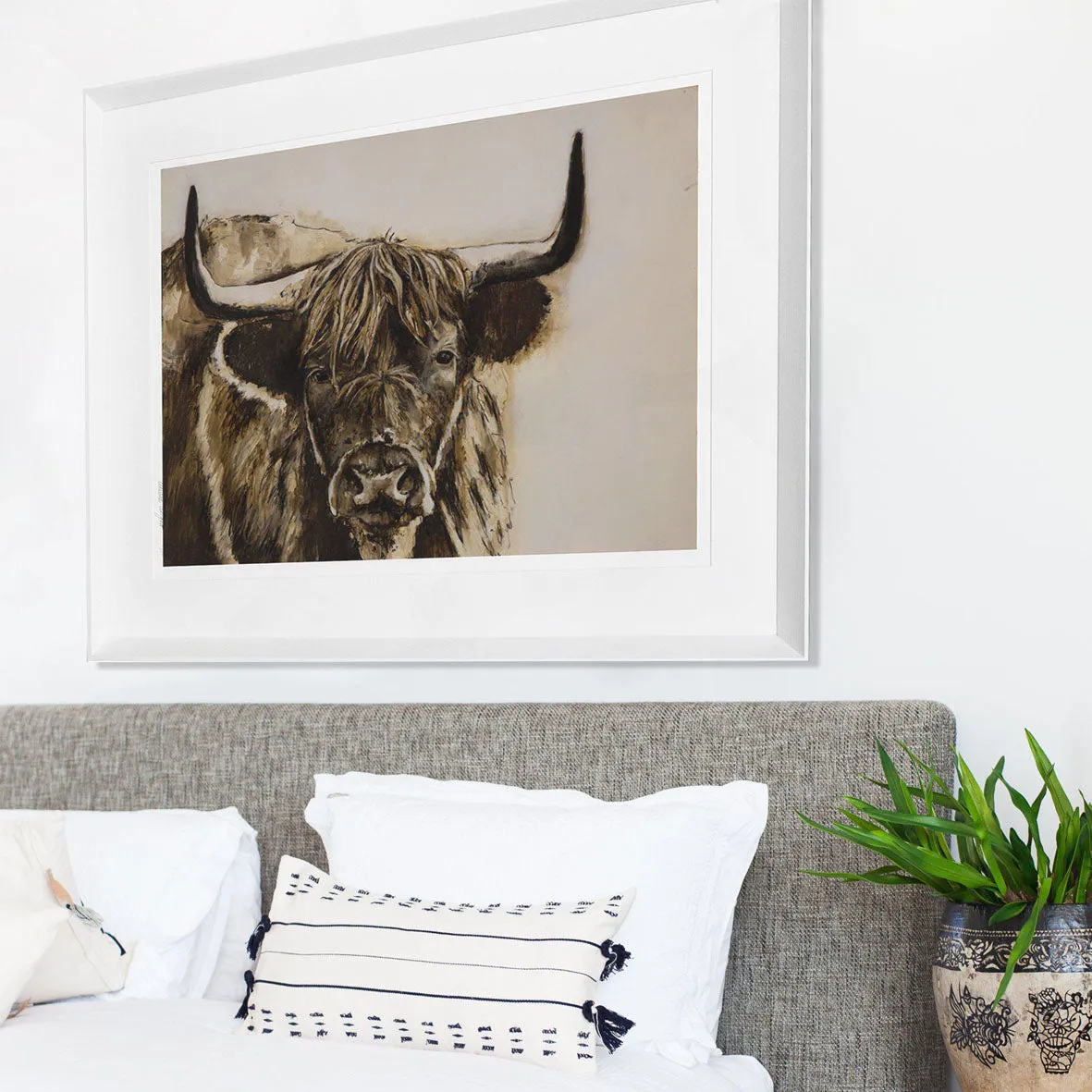 Highland Bull