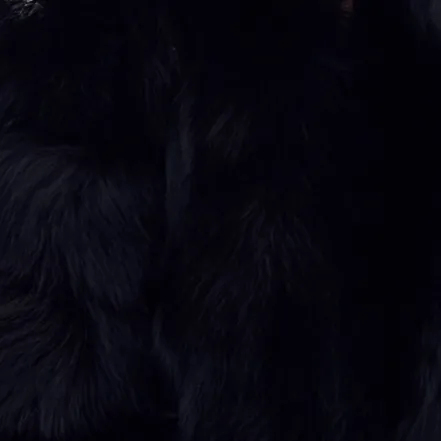 Monroe Cashmere & Wool, Fox Fur Coat